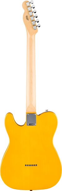 Fender Standard Tele MN BPG BTB