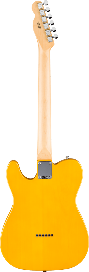 Fender Standard Tele MN BPG BTB