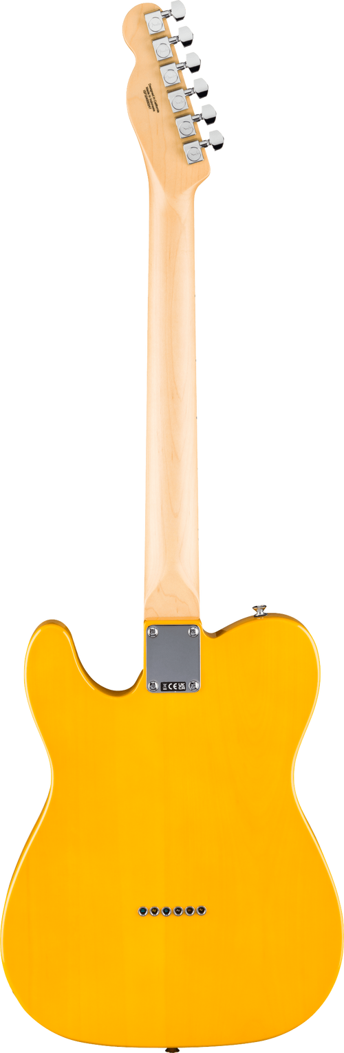 Fender Standard Tele MN BPG BTB