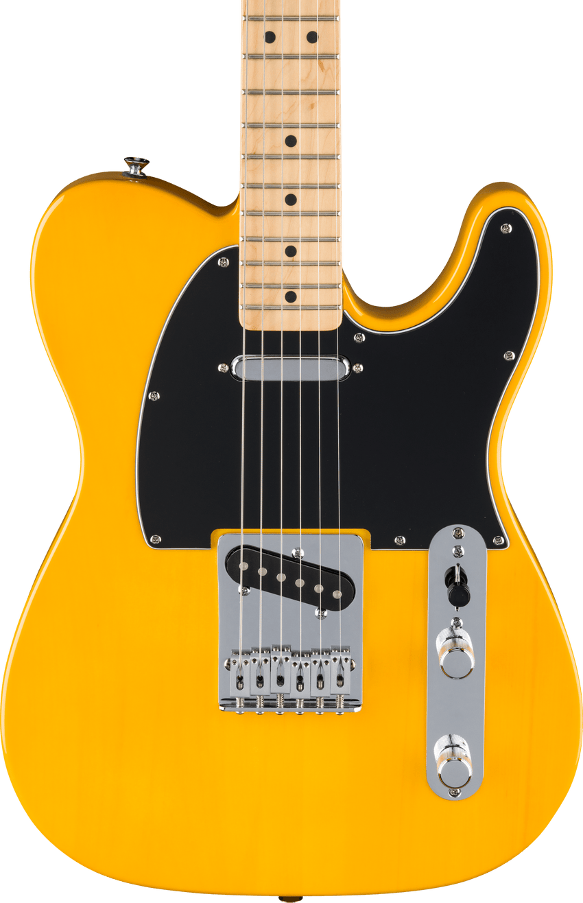 Fender Standard Tele MN BPG BTB