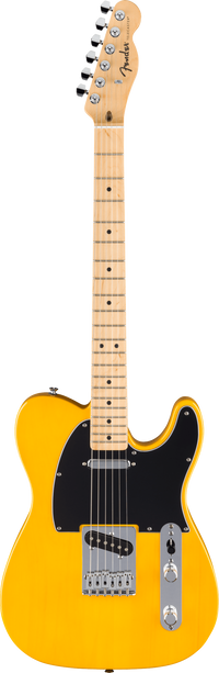 Fender Standard Tele MN BPG BTB