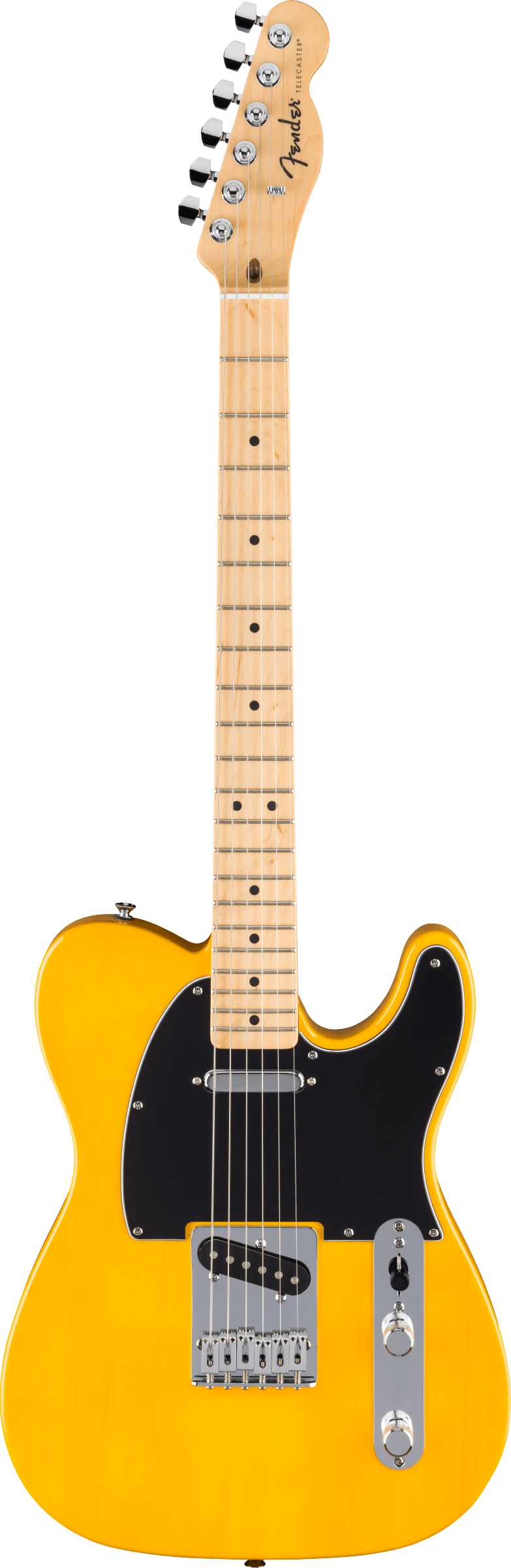 Fender Standard Tele MN BPG BTB