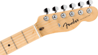 Fender Standard Tele MN BPG BTB