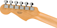 Fender Standard Strat MN WPG CND