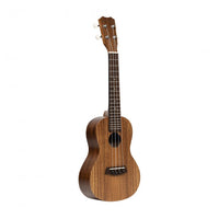 Islander AC-4UKE