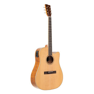 Stagg SA45 DCE-FM