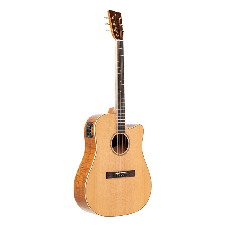 Stagg SA45 DCE-FM