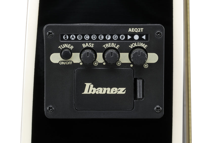 Ibanez TCY10PA-BKB