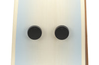 Ibanez AAM370M2E-AIB