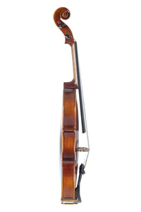 GEWA Violine Allegro VL1 - 4/4 Violinen Set