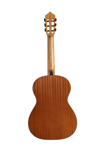 José Molinero Estudio Formado C-13