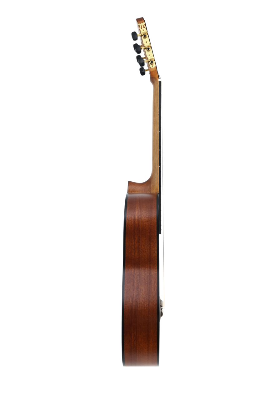 José Molinero Estudio Formado C-13