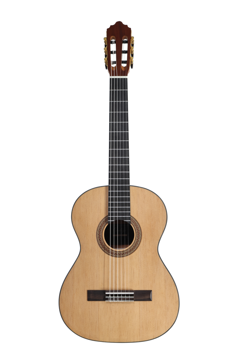 José Molinero Tres Cuartos C-13