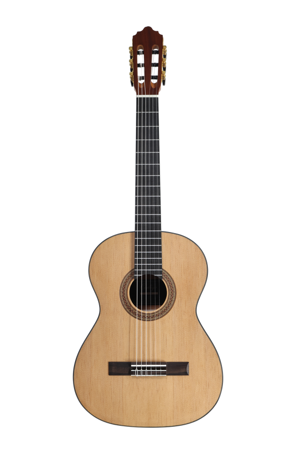 José Molinero Estudio Formado C-13