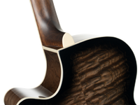 Cort EXOTIC SFX ASH - Schwarz