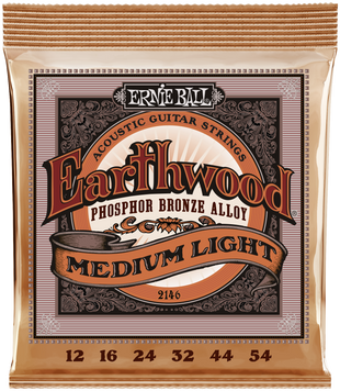 ERNIE BALL Earthwood PB 12-54 EB2146