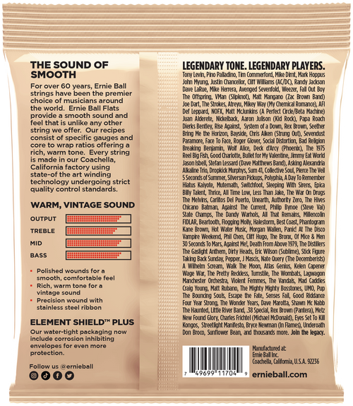 ERNIE BALL Flatwound .045-.105
