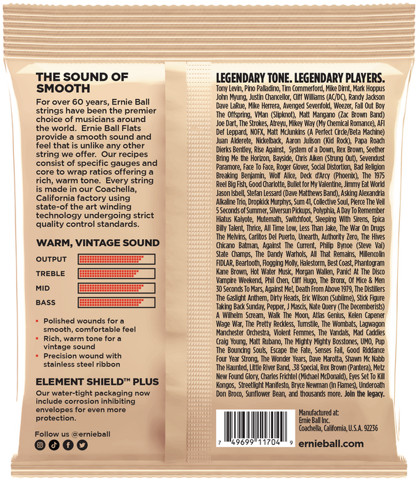 ERNIE BALL Flatwound .045-.105