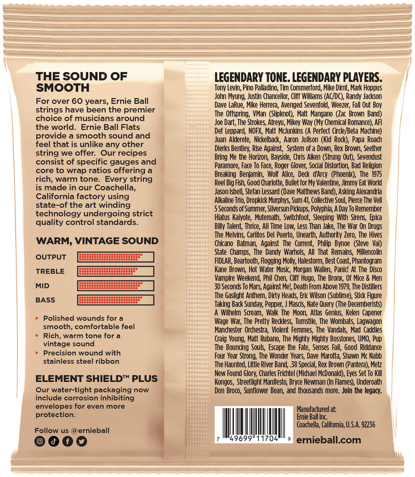 ERNIE BALL Flatwound .045-.105