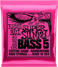 ERNIE BALL Super Slinky 5-String 40-125