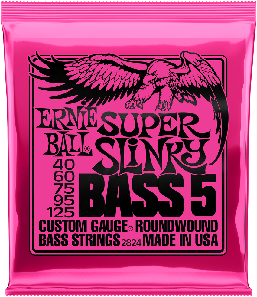 ERNIE BALL Super Slinky 5-String 40-125