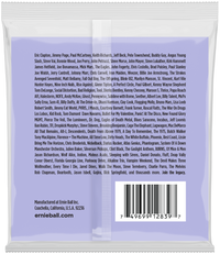ERNIE BALL Slinky Bariton, A-A Tuning 13-72