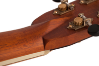 Larrivee LAD60E Rosewood Traditional Series B Stock