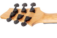 SCHECTER C-1 Standard Charcoal Satin