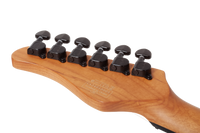 SCHECTER PT Standard Black Fade Burst Burl