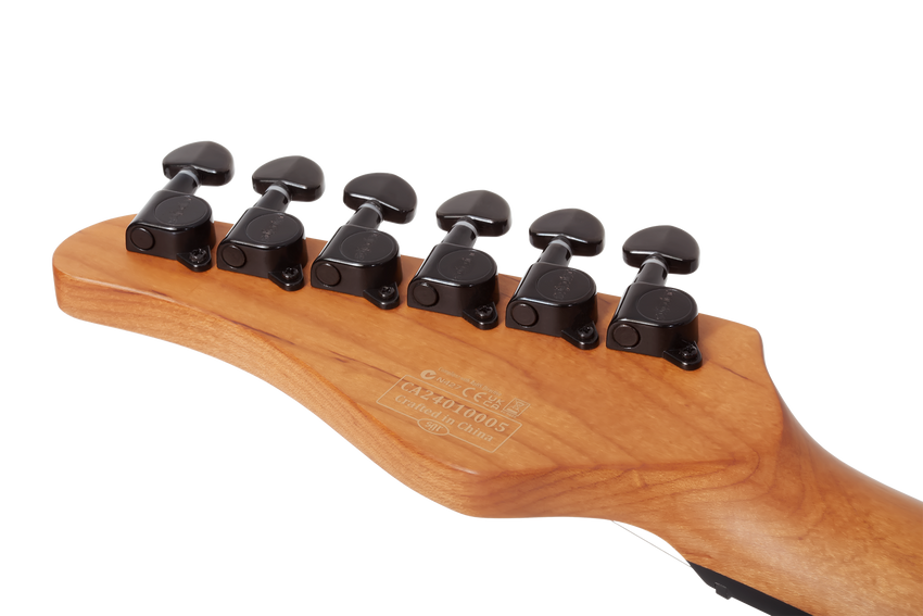 SCHECTER PT Standard Black Fade Burst Burl