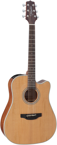 Takamine GD20CE-NS