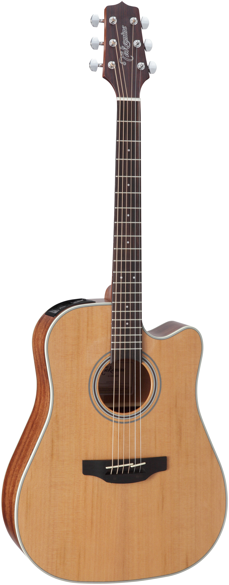 Takamine GD20CE-NS