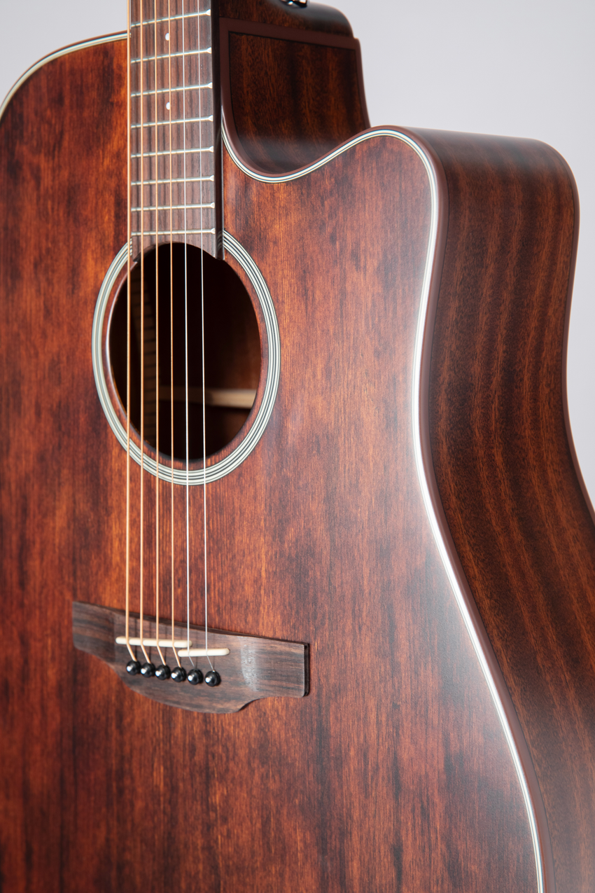 TAKAMINE GD21CE SM - Satin Molasses