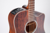 TAKAMINE GD21CE SM - Satin Molasses