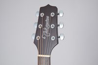 TAKAMINE GD21CE SM - Satin Molasses