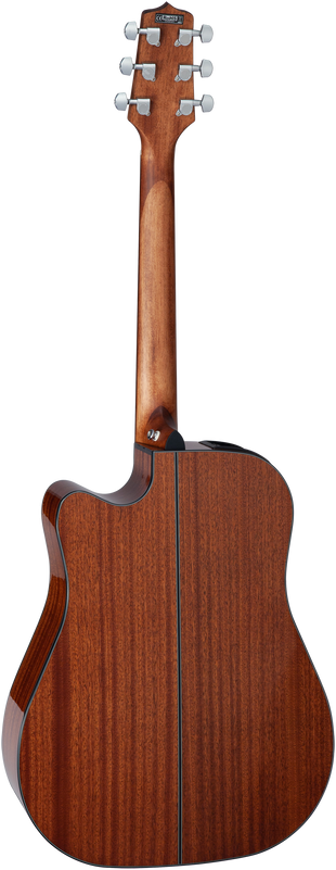 Takamine GD20CE-NS
