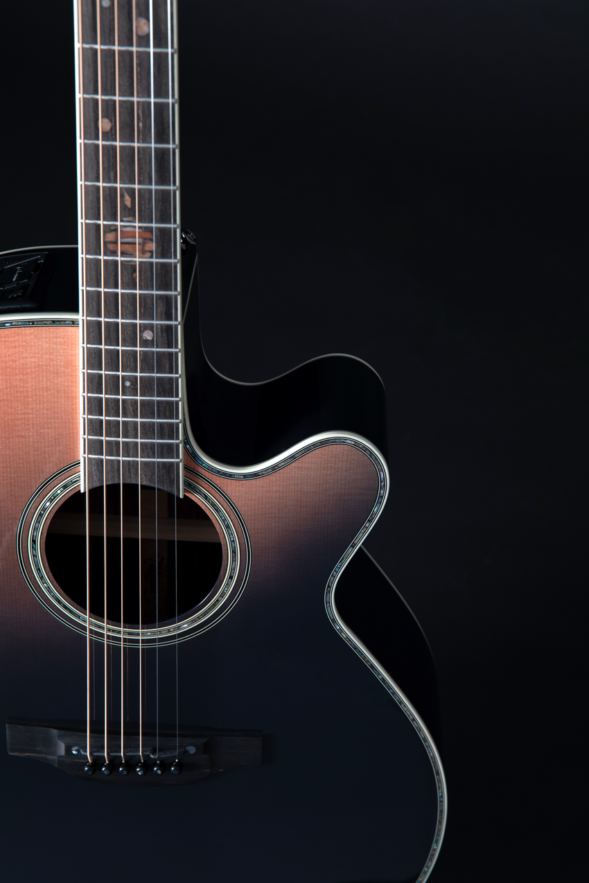 Takamine LTD 2024