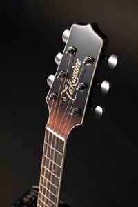 Takamine LTD 2024