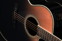 Takamine LTD 2024