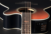 Takamine LTD 2024