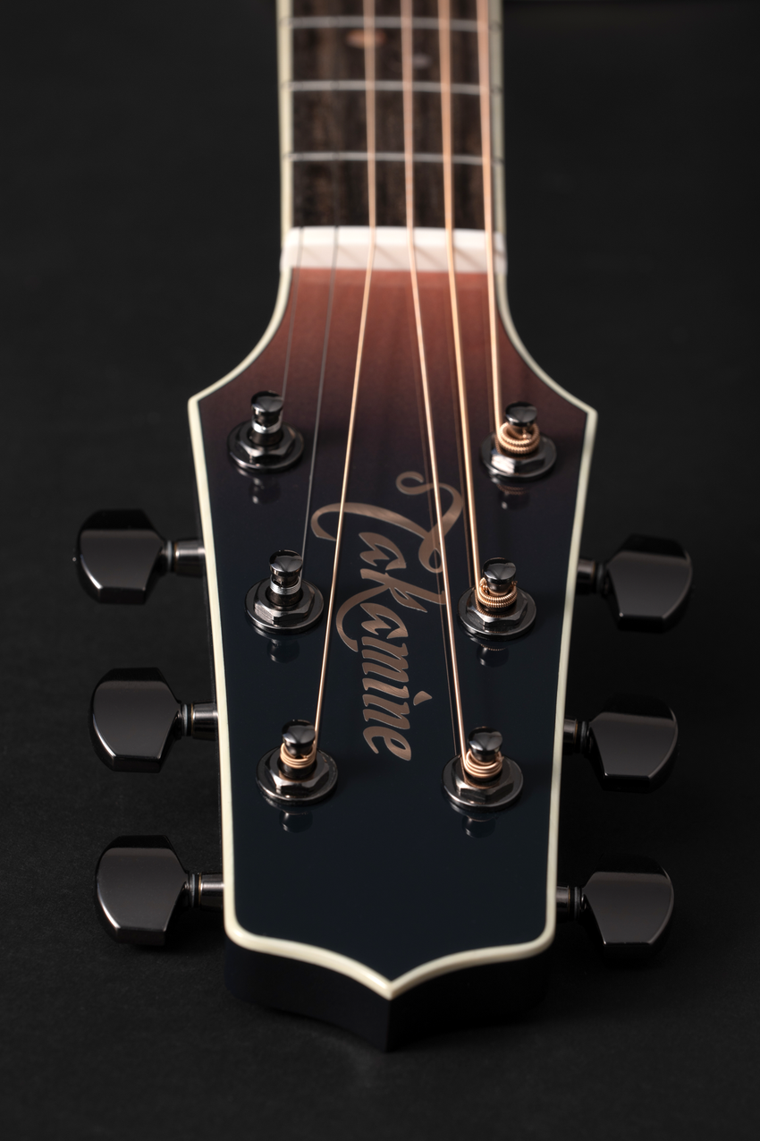 Takamine LTD 2024