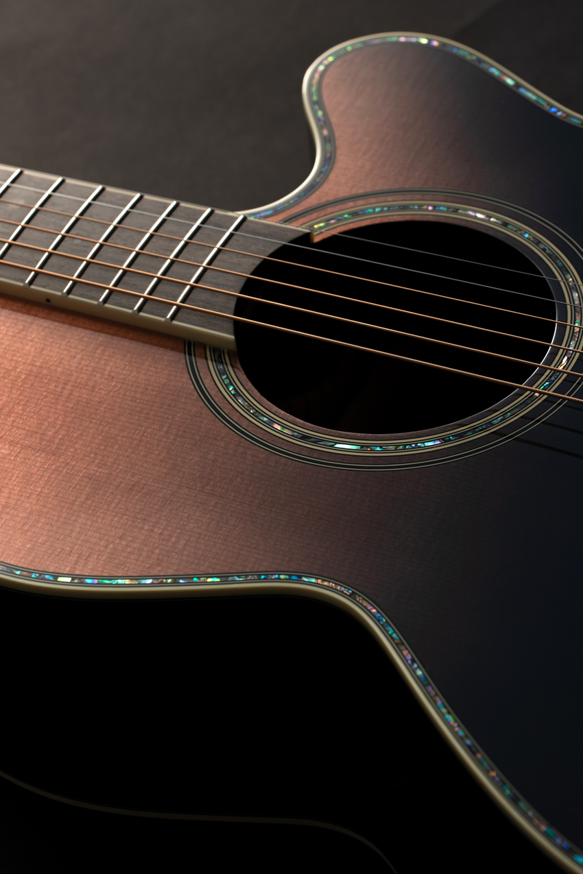 Takamine LTD 2024