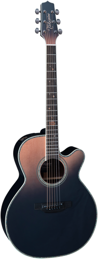 Takamine LTD 2024