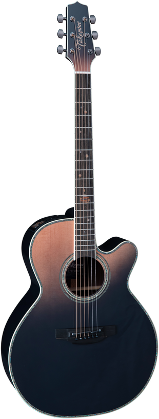 Takamine LTD 2024