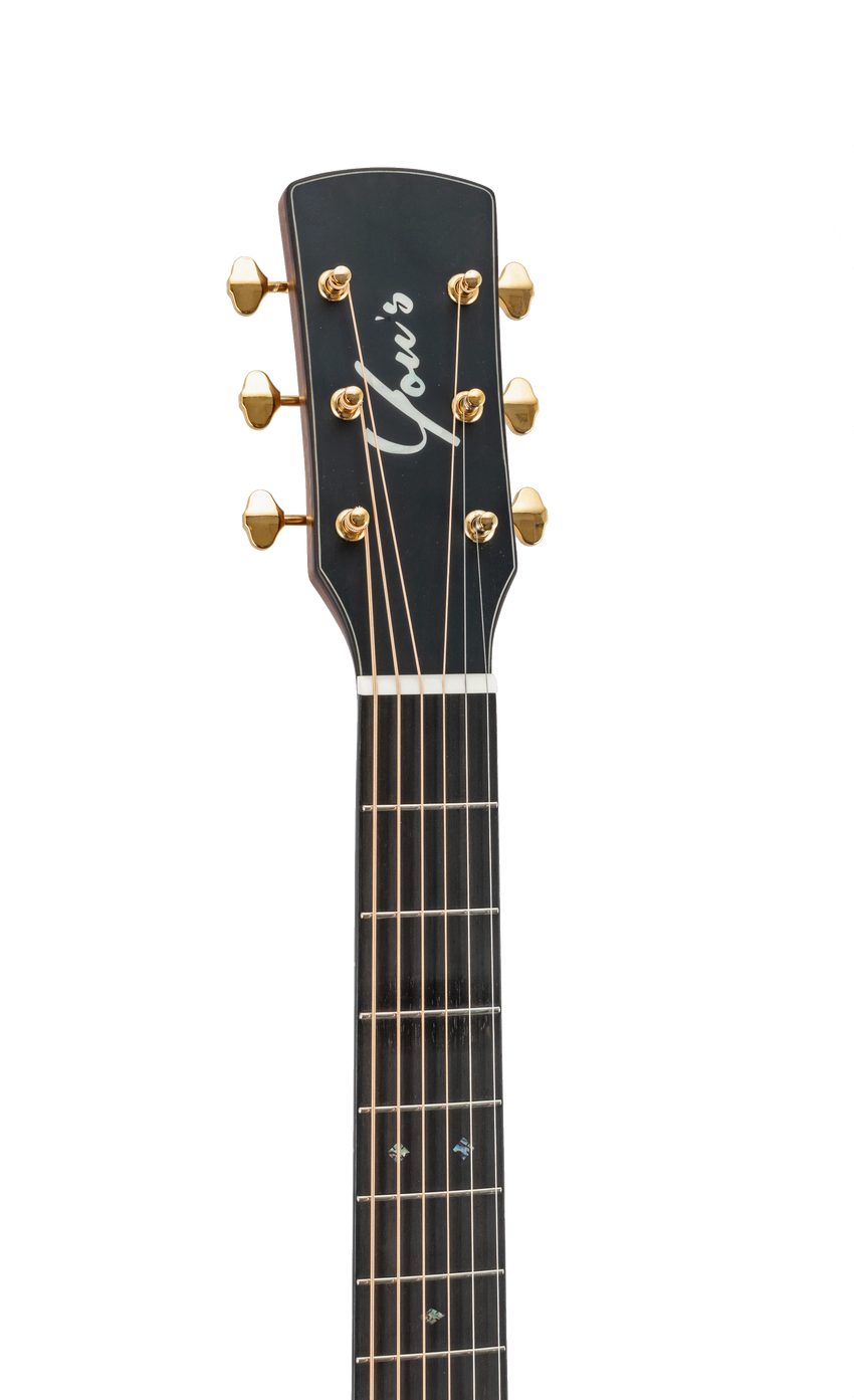 You's Guitars GA25E Pa Story Series