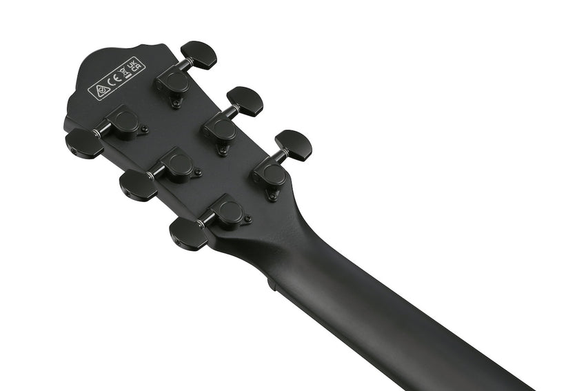 IBANEZ AEWC621-BOT Black Out