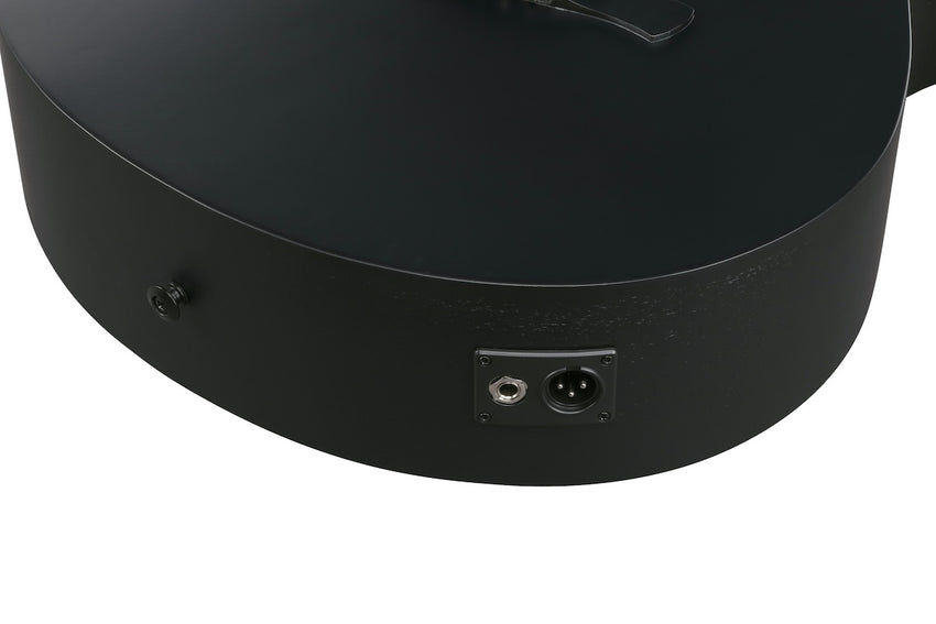 IBANEZ AEWC621-BOT Black Out