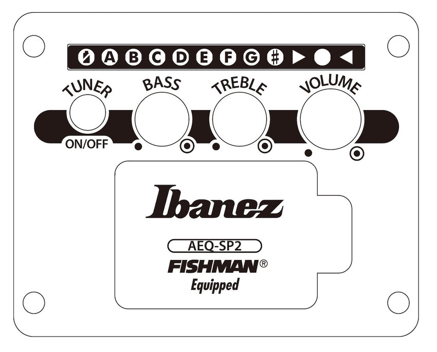 IBANEZ AEWC621-BOT Black Out
