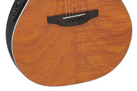 Ovation Celebrity Elite Deluxe Plus Ltd 2026 Deep Contour Amber Satin