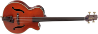 Takamine TB10 Big Jumbo Bass Basso acustico